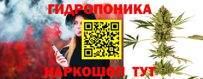 мяу мяу мука Волжский