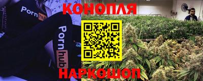 мяу мяу мука Волжский