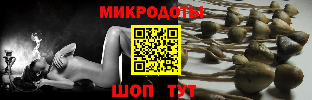 Псилоцибиновые грибы ЛСД Кушва